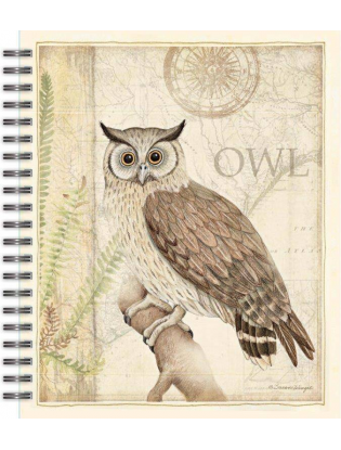 https://truimg.toysrus.com/product/images/lang-sanctuary-owl-spiral-bound-sketchbook--5E9B3062.zoom.jpg