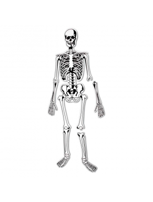 https://truimg.toysrus.com/product/images/learning-resources-skeleton-floor-puzzle-15-piece--3622971E.zoom.jpg