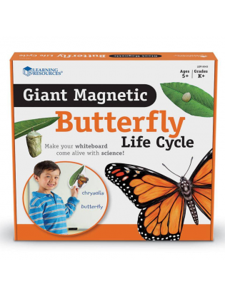 https://truimg.toysrus.com/product/images/learning-resources-giant-magnetic-butterfly-life-cycle-set--D911AA0F.pt01.zoom.jpg