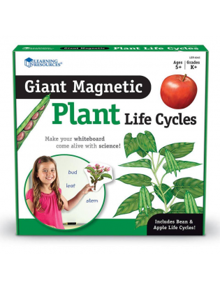 https://truimg.toysrus.com/product/images/learning-resources-giant-magnetic-plant-life-cycle-set--D911AC0F.pt01.zoom.jpg
