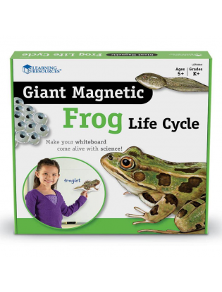 https://truimg.toysrus.com/product/images/learning-resources-giant-magnetic-frog-life-cycle--B2C2E019.pt01.zoom.jpg