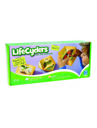 https://truimg.toysrus.com/product/images/educational-insights-lifecyclers-butterfly-frog-and-plant--F8FEAFA6.pt01.zoom.jpg