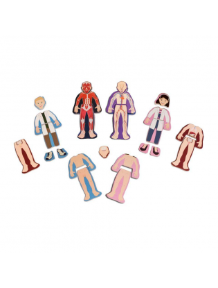 https://truimg.toysrus.com/product/images/t.s.-shure-human-anatomy-wooden-magnetic-figures--DBEB3615.pt01.zoom.jpg