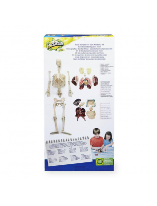 https://truimg.toysrus.com/product/images/edu-science-human-anatomy-kit--EB5171A4.pt01.zoom.jpg