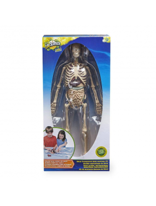 https://truimg.toysrus.com/product/images/edu-science-human-anatomy-kit--EB5171A4.zoom.jpg