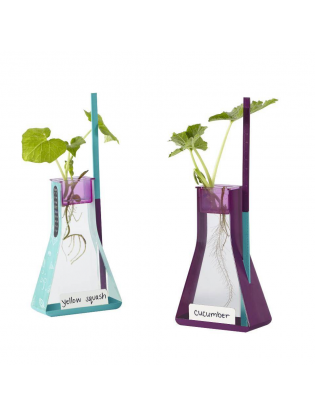 https://truimg.toysrus.com/product/images/educational-insights-nancy-b's-science-club-way-to-grow-hydroponics-kit-gar--C5782FD0.zoom.jpg