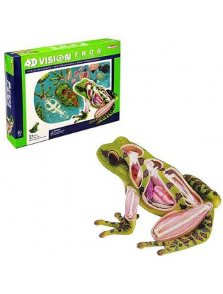 https://truimg.toysrus.com/product/images/4d-vision-frog-model--8E984934.zoom.jpg