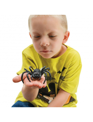 https://truimg.toysrus.com/product/images/nature-bound-bug-&-critter-box-set-10-piece--A4A050F8.pt01.zoom.jpg