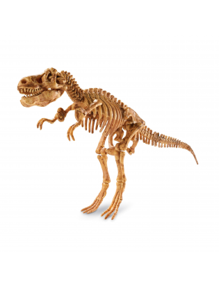 https://truimg.toysrus.com/product/images/mindware-dig-it-up!-tyrannosaurus-rex-dino-model-set--7144E83C.pt01.zoom.jpg