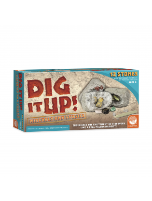 https://truimg.toysrus.com/product/images/mindware-dig-it-up!-minerals-fossils-set--E26FFBE8.zoom.jpg