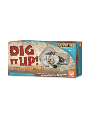 https://truimg.toysrus.com/product/images/mindware-dig-it-up!-minerals-fossils-set--E26FFBE8.pt01.zoom.jpg