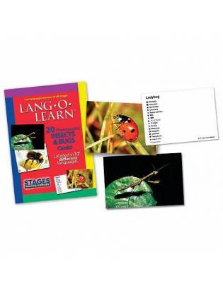 https://truimg.toysrus.com/product/images/lang-o-learn-cards-insects-bugs--400DBF6F.zoom.jpg