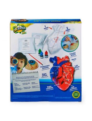 https://truimg.toysrus.com/product/images/edu-science-giant-heart-kit--932C6CC0.pt01.zoom.jpg