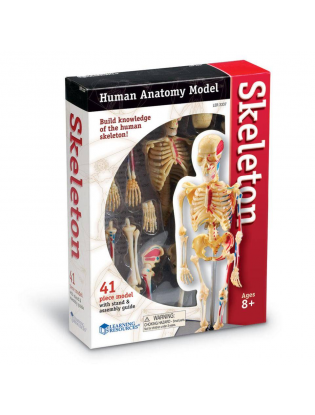 https://truimg.toysrus.com/product/images/learning-resources-skeleton-anatomy-model--D515F601.pt01.zoom.jpg