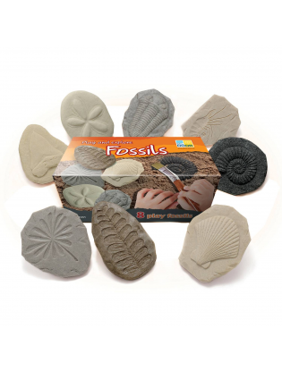 https://truimg.toysrus.com/product/images/play-explore-fossils-set--88587AD9.zoom.jpg