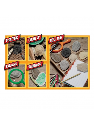 https://truimg.toysrus.com/product/images/play-explore-fossils-set--88587AD9.pt01.zoom.jpg
