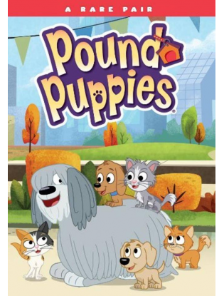 https://truimg.toysrus.com/product/images/pound-puppies:-rare-pair-dvd--3E33493C.zoom.jpg