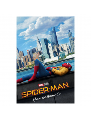 https://truimg.toysrus.com/product/images/marvel-spider-man-homecoming-dvd--87BCF0DB.zoom.jpg