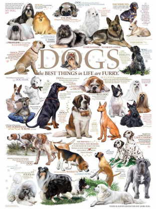 https://truimg.toysrus.com/product/images/cobble-hill-dog-quotes-jigsaw-puzzle-1000-piece--CC262C8E.zoom.jpg