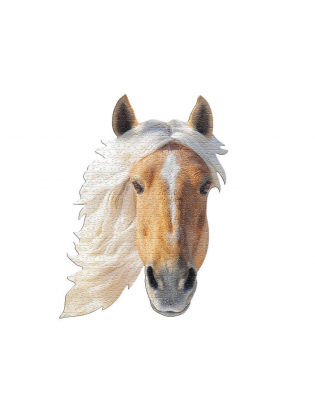 https://truimg.toysrus.com/product/images/madd-capp-i-am-horse-head-shaped-jigsaw-puzzle-550-piece--2E0A2BD8.pt01.zoom.jpg
