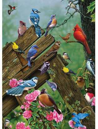 https://truimg.toysrus.com/product/images/cobble-hill-jigsaw-puzzle-1000-piece-birds-forest--B50025C8.zoom.jpg