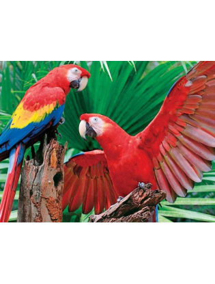 https://truimg.toysrus.com/product/images/scarlet-macaw-400-piece-jigsaw-puzzle--33F71125.zoom.jpg