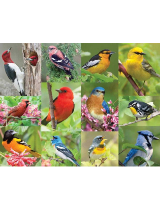https://truimg.toysrus.com/product/images/birds-feather-500-piece-jigsaw-puzzle--F0F83F1D.zoom.jpg