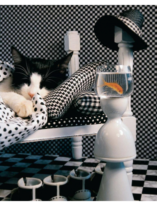 https://truimg.toysrus.com/product/images/checkerboard-cat-1000-piece-jigsaw-puzzle--19EDDD8B.zoom.jpg