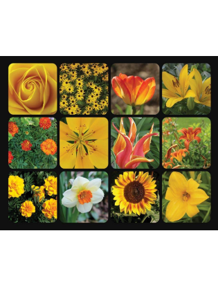 https://truimg.toysrus.com/product/images/golden-blooms-1000-piece-jigsaw-puzzle--B3FCC226.zoom.jpg