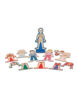 https://truimg.toysrus.com/product/images/melissa-&-doug-magnetic-human-body-anatomy-play-set-with-24-magnetic-pieces--C2027DCA.zoom.jpg