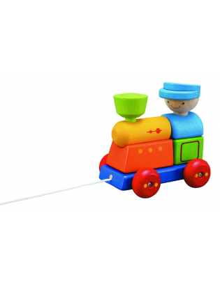 https://truimg.toysrus.com/product/images/plantoys-sorting-train--D697DDAC.zoom.jpg