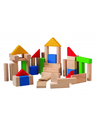 https://truimg.toysrus.com/product/images/plantoys-blocks-50-pieces--F122EF1E.zoom.jpg