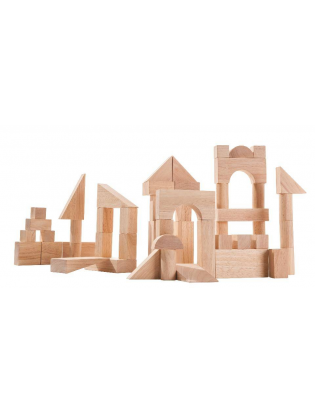 https://truimg.toysrus.com/product/images/plantoys-50-piece-blocks--B634354B.zoom.jpg