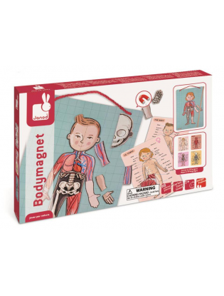 https://truimg.toysrus.com/product/images/janod-body-magnet-game--F8438B34.pt01.zoom.jpg