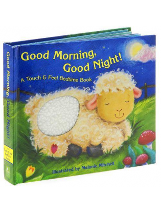 https://truimg.toysrus.com/product/images/good-morning-good-night!-a-touch-&-feel-bedtime-book--881A5323.zoom.jpg