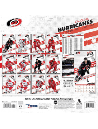 https://truimg.toysrus.com/product/images/turner-2018-nhl-carolina-hurricanes-wall-calendar--ED7FC430.pt01.zoom.jpg