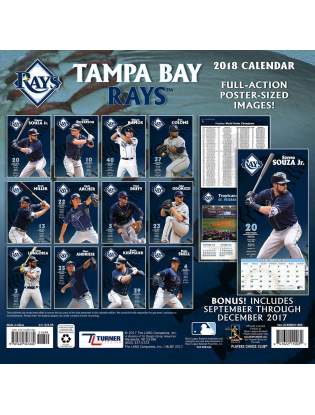 https://truimg.toysrus.com/product/images/turner-2018-mlb-tampa-bay-rays-wall-calendar--6875E950.pt01.zoom.jpg