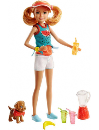 https://truimg.toysrus.com/product/images/barbie-sisters-doll-with-puppy-stacie--912EEC3B.zoom.jpg