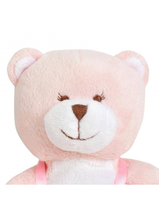 https://truimg.toysrus.com/product/images/babies-r-us-plush-baby-bear-with-gift-card-holder-pink-7-inch--DED95E4A.pt01.zoom.jpg