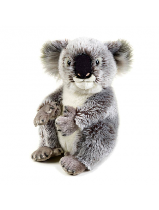 https://truimg.toysrus.com/product/images/national-geographic-stuffed-koala-grey--C695B889.zoom.jpg