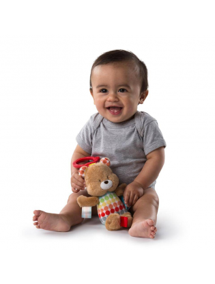https://truimg.toysrus.com/product/images/bright-starts-chime-go-stuffed-bear-toy--B5C67578.pt01.zoom.jpg