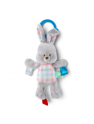 https://truimg.toysrus.com/product/images/bright-starts-chime-go-stuffed-bunny-toy--1A2F44DF.zoom.jpg