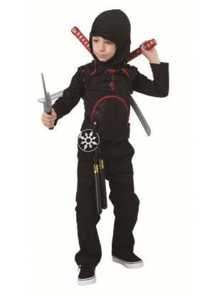 true-heroes-ninja-deluxe-set-child-size-small-(4-6)--567BD5CC.pt01.zoom.jpg