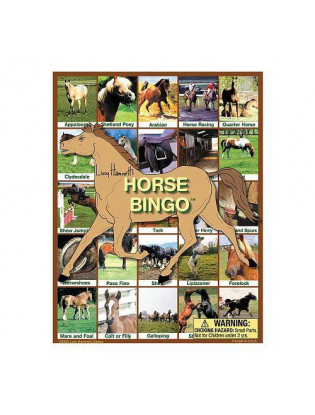 https://truimg.toysrus.com/product/images/horse-bingo-game--A0123F4B.zoom.jpg