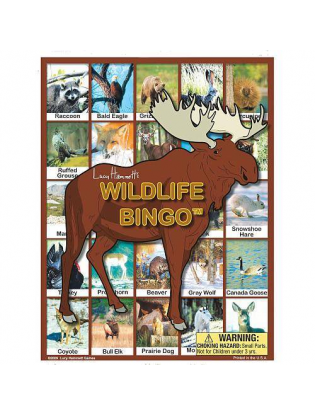 https://truimg.toysrus.com/product/images/wildlife-bingo-game--06D8CA14.zoom.jpg
