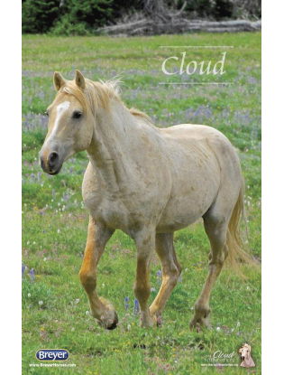 https://truimg.toysrus.com/product/images/breyer-traditional-series-cloud's-encore-gift-set--1224D665.pt01.zoom.jpg