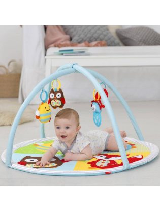 https://truimg.toysrus.com/product/images/skip-hop-explore-more-funscape-activity-gym--4B6A3224.pt01.zoom.jpg