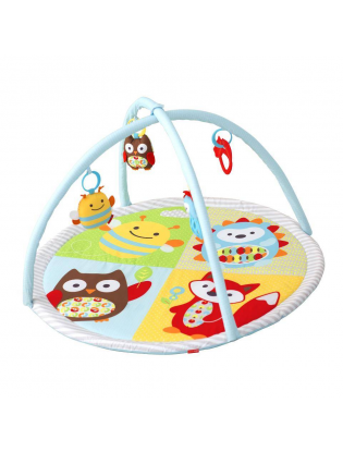 https://truimg.toysrus.com/product/images/skip-hop-explore-more-funscape-activity-gym--4B6A3224.zoom.jpg
