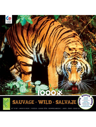 https://truimg.toysrus.com/product/images/ceaco-wild-bengal-tiger-puzzle-1000-piece--2B65EFF0.zoom.jpg