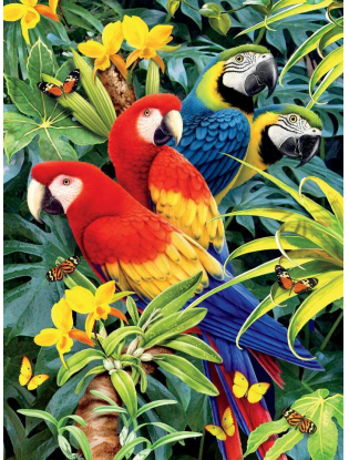 https://truimg.toysrus.com/product/images/ceaco-wild-majestic-macaws-puzzle-1000-piece--A57C0F99.pt01.zoom.jpg